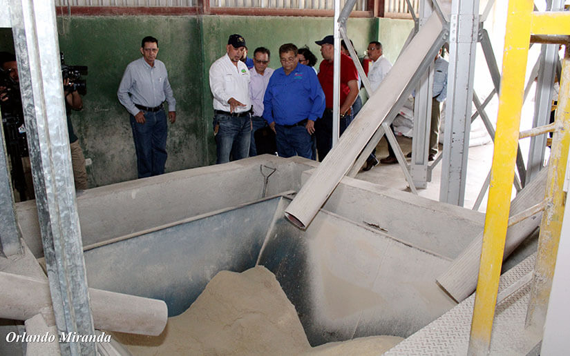 estrategia-produccion-lactea